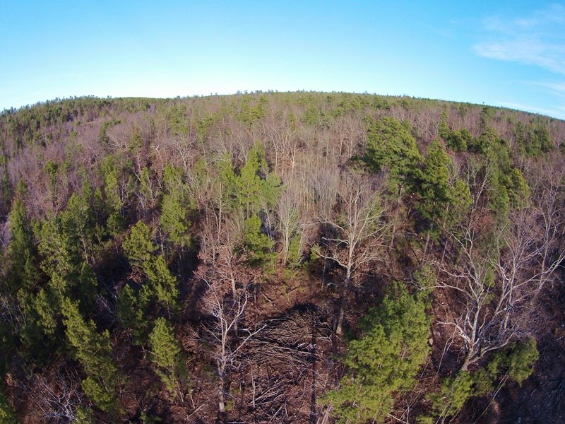 Black Fork Creek Tract 4 : Nashoba : Pushmataha County : Oklahoma