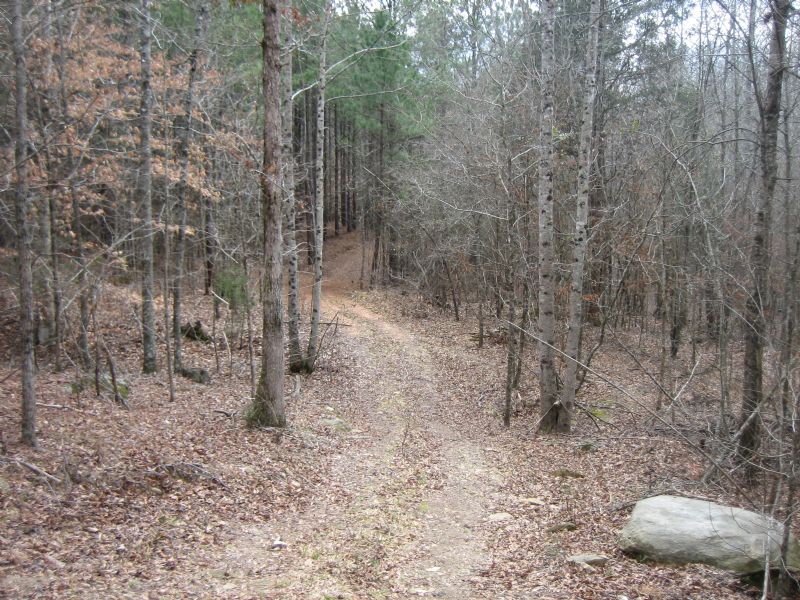 Hunting Lease : Elberton : Elbert County : Georgia