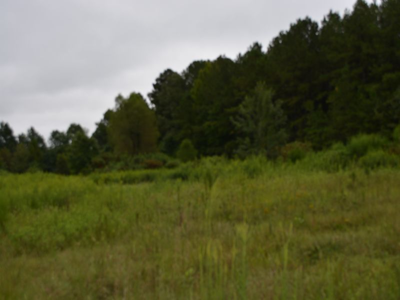 5.67 Acres Light Industrial : Sanford : Lee County : North Carolina