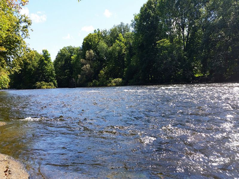 Land Near Salmon River : Pulaski : Oswego County : New York
