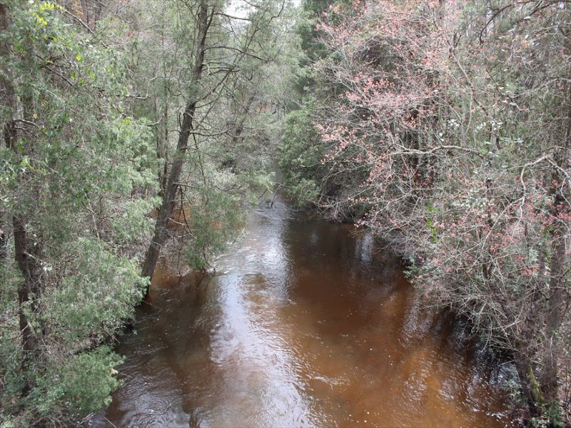 Whitewater Creek Property : Butler : Taylor County : Georgia