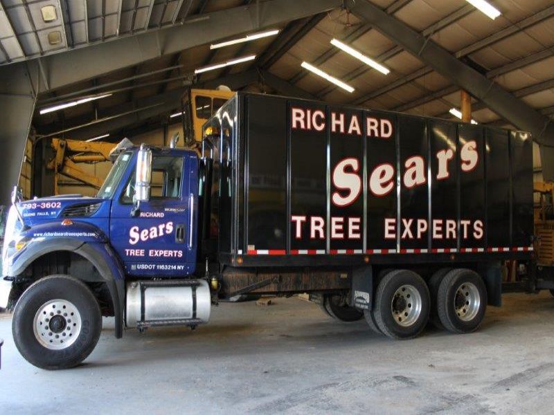 New York Tree Removal Business : Queensbury : Warren County : New York