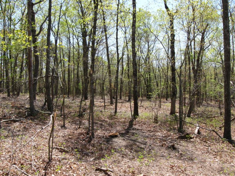 21.7 Acres Terrapin Creek Rd : Bedford : Bedford County : Virginia