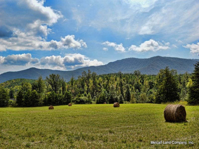 278 Acres in Blue Ridge Mountains : Chimney Rock Village : Polk County : North Carolina