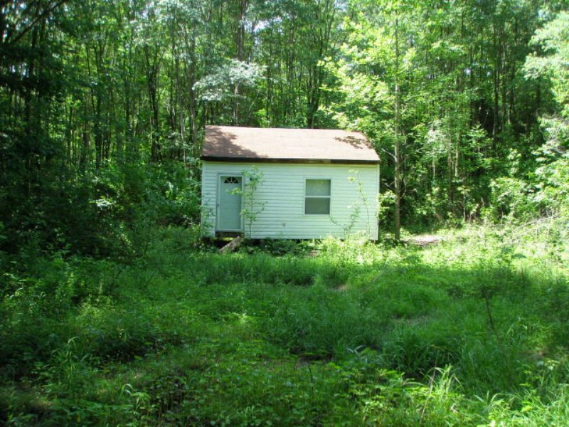 Hatter's Creek Hideaway : Green Bay : Prince Edward County : Virginia
