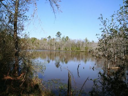 Old Smokehouse Farm : Quincy : Gadsden County : Florida