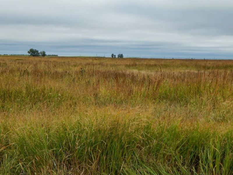 Woods 320 : Kinsley : Edwards County : Kansas