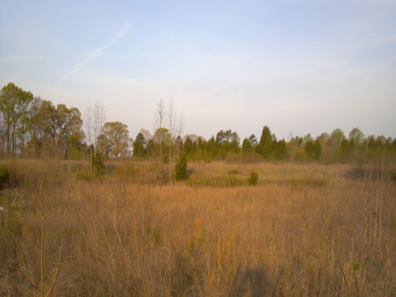 145 + Acres - Mt Carmel Rd : Halifax : Halifax County : Virginia
