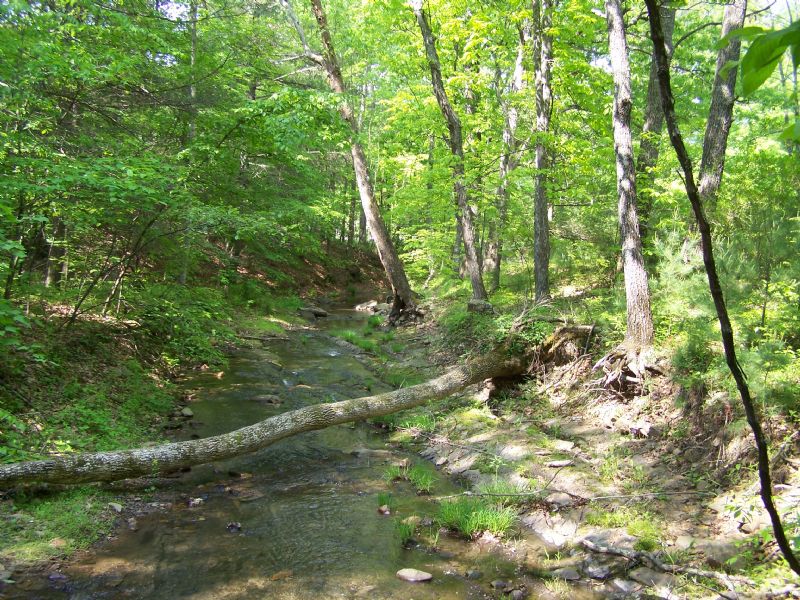 Large Acreage - Bradshaw Rd : New Castle : Roanoke County : Virginia