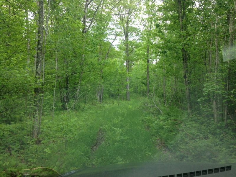 Cass, Moose Lake, 1363125, N1/2 : Pillager : Cass County : Minnesota