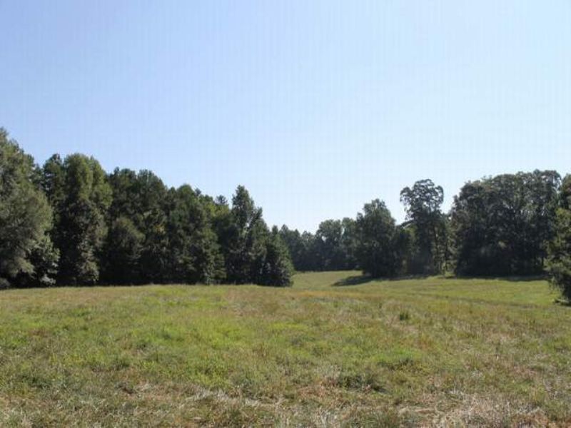 104+/- Acres : Woodland : Randolph County : Alabama