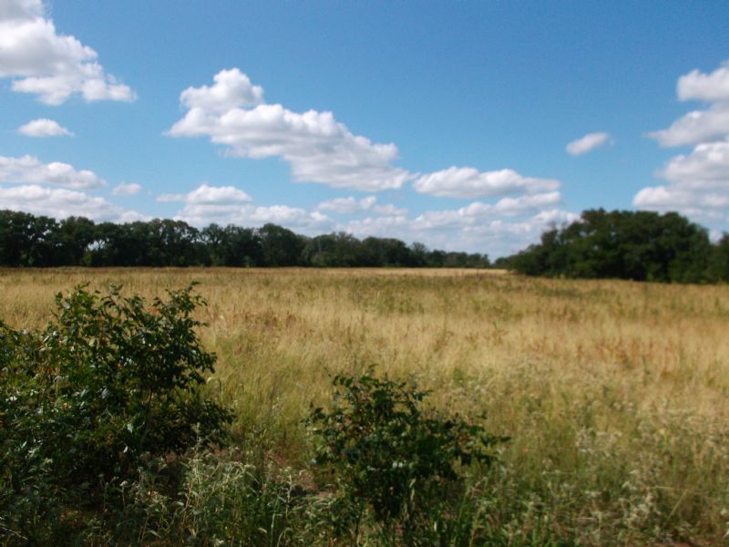 97+ Acres in North East Tx : Emory : Rains County : Texas