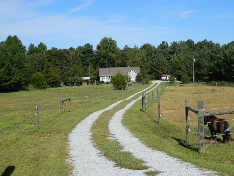 Mini Horse Farm/ Country Cottage Farm for Sale in Lexington