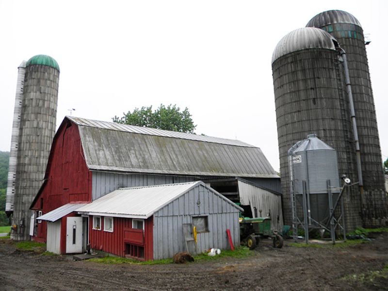Operating Dairy Farm Farmhouse, Farm for Sale in New York, 80921