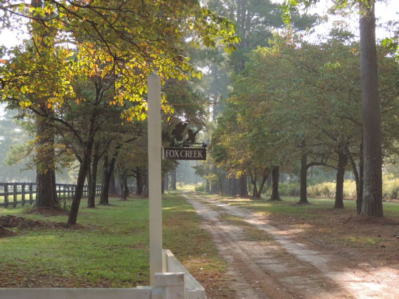 Fox Creek Plantation, Farm for Sale in 80924 FARMFLIP