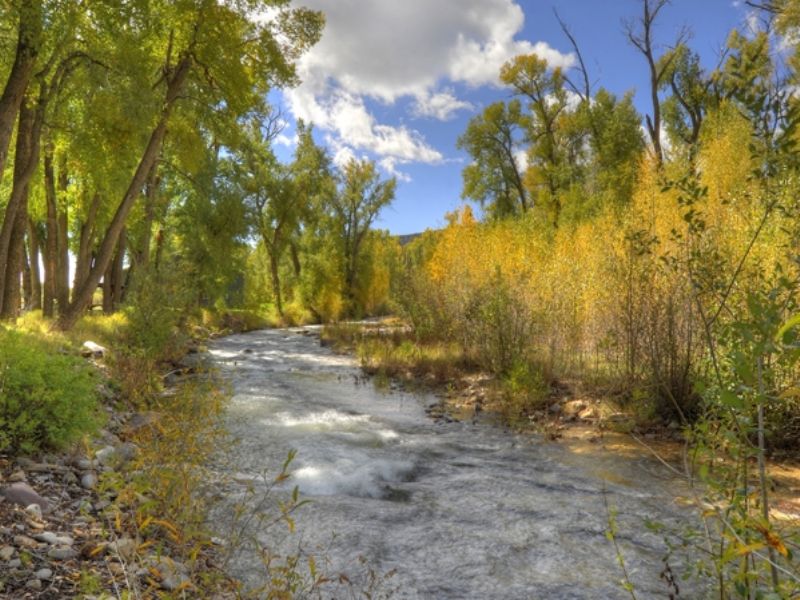 Indian Shadow : Hesperus : La Plata County : Colorado