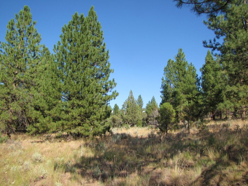 Buck and Bull Ranch : Burns : Harney County : Oregon