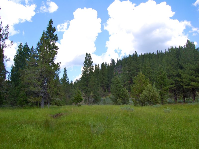 Cottonwood Reservoir Retreat, Farm for Sale in Oregon, 81470 FARMFLIP