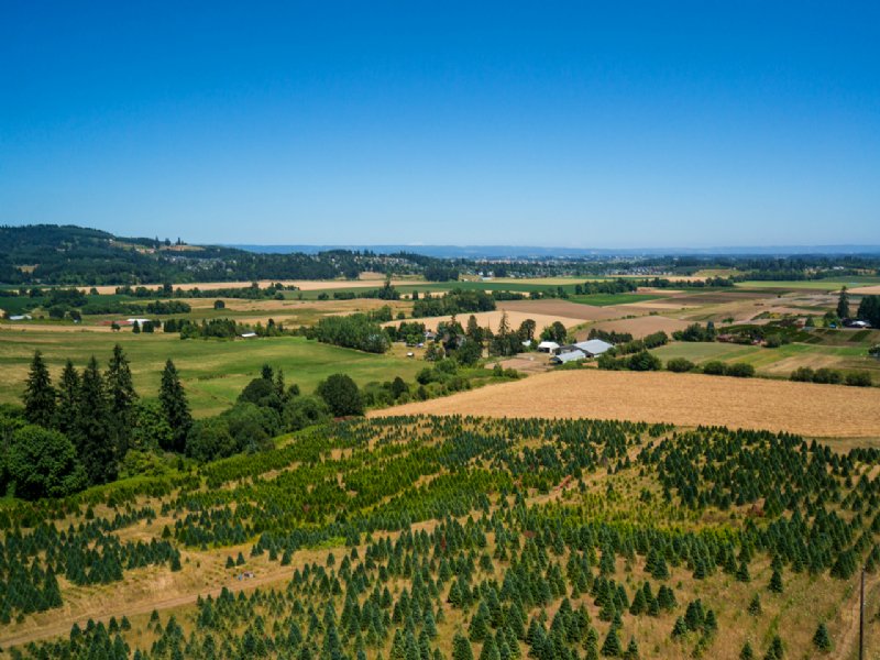 Easterday rd, Farm for Sale in Oregon, 81479 FARMFLIP