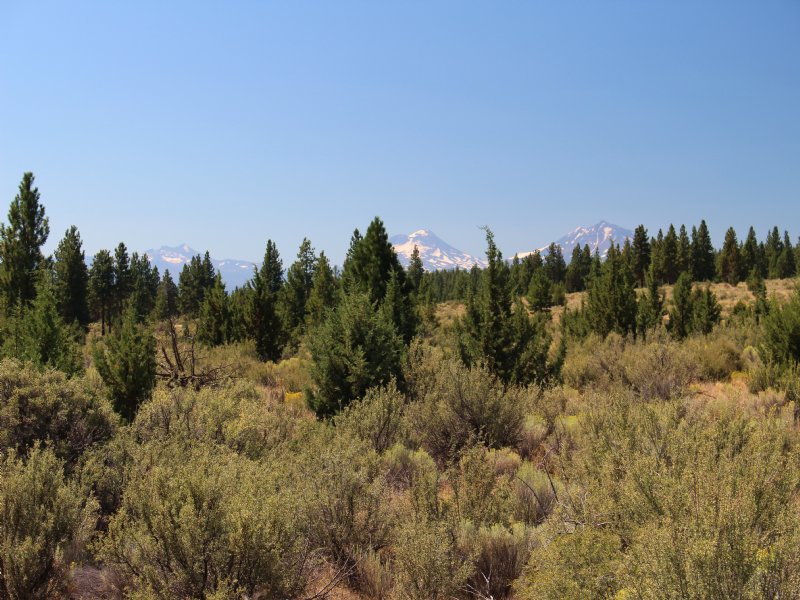 Geneva View Ranch 1109 Acres : Madras : Jefferson County : Oregon