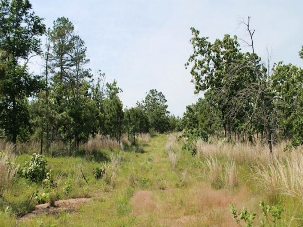 11.95 Acres Indian Ridge Ii : McAlester : Pittsburg County : Oklahoma
