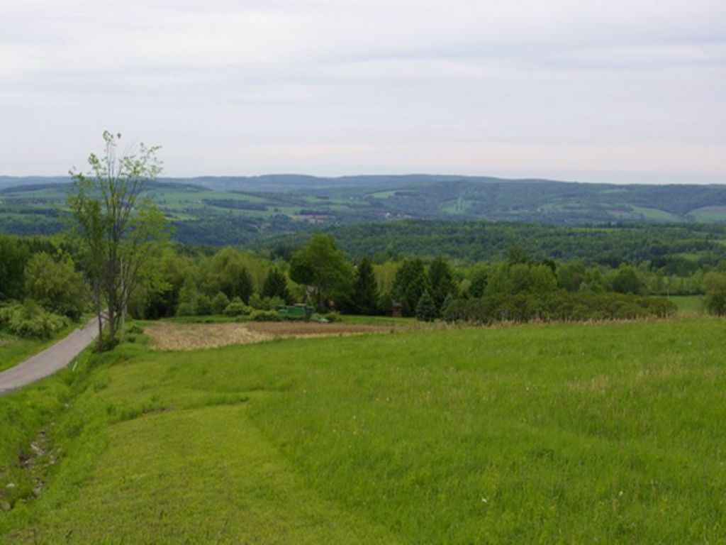 0.52 Acres Of Land for Sale, Farm for Sale by Owner in New York, 81775 FARMFLIP