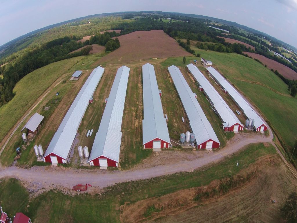 Six House Poultry Farm Farm for Sale in Cullman, Cullman County, Alabama 81910 farmflip