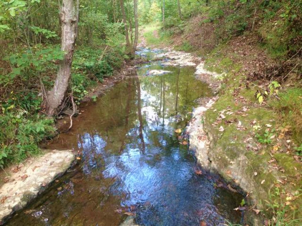 Hardwood Tract with Waterfall : Buchanan : Polk County : Georgia