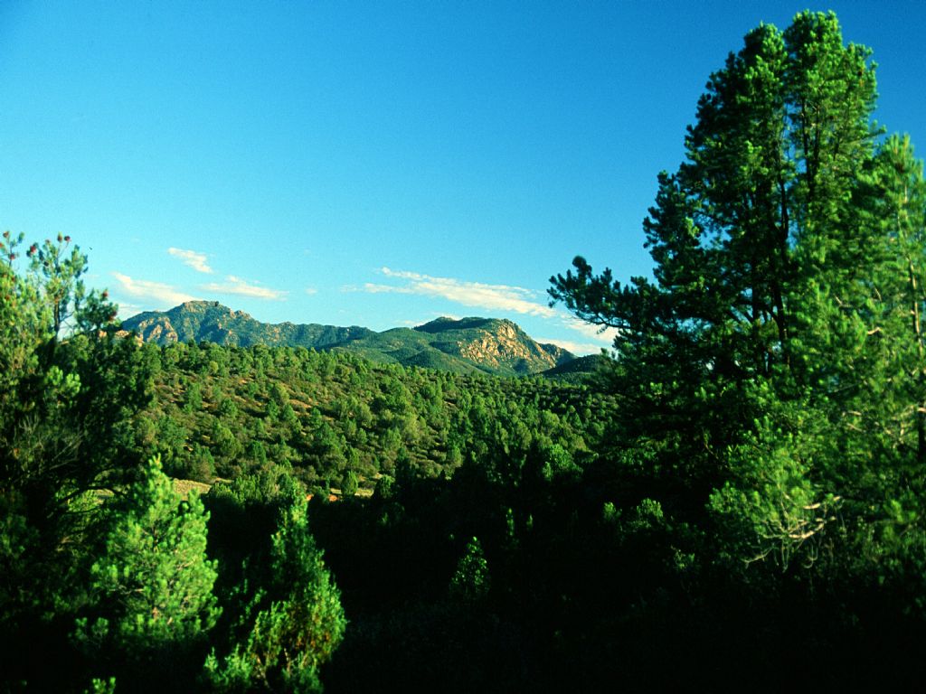 Northwest Az Wilderness Ranch 261Mo : Peach Springs : Mohave County : Arizona