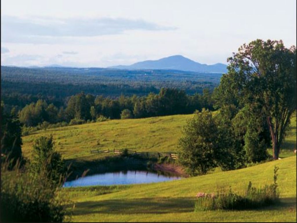 Land for Sale 60 Acres in Grand, Farm for Sale by Owner in Maine