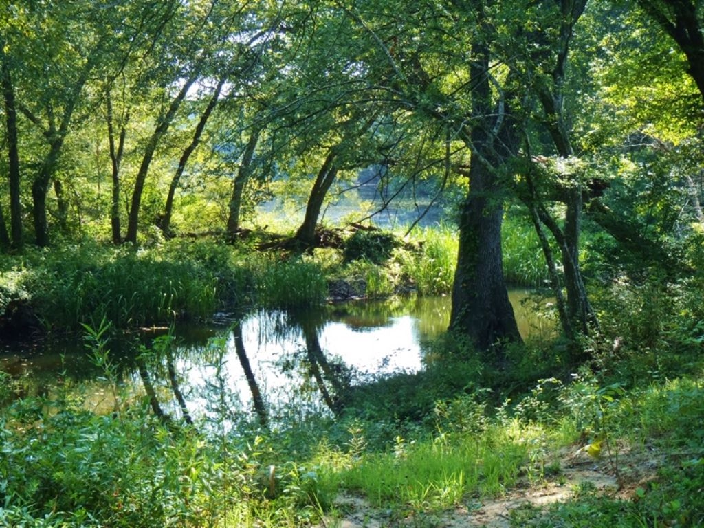 Little River Tract 1 : Nashoba : Pushmataha County : Oklahoma