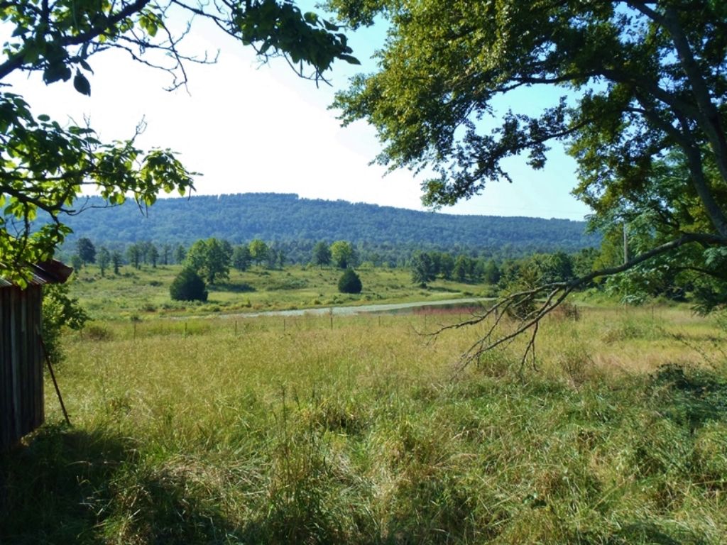 Little River Tract 3 : Nashoba : Pushmataha County : Oklahoma
