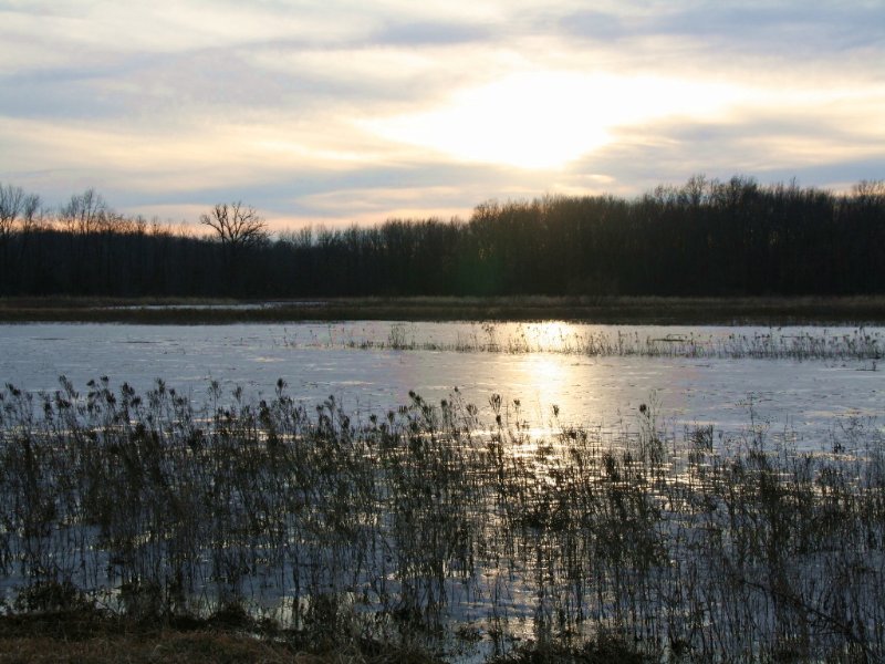 205 Acres : Novelty : Knox County : Missouri