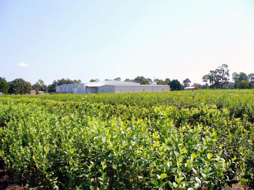 Hidden Creek Farms : Sebring : Highlands County : Florida