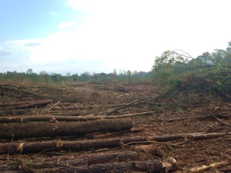 124.8 +/- Acres, Taylorsville : Taylorsville : Bartow County : Georgia