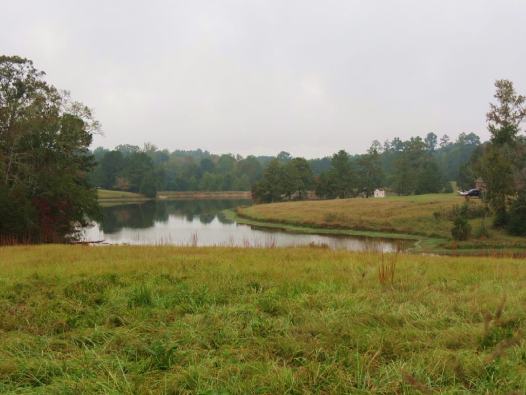 25 +/- Acres in Wesson : Wesson : Copiah County : Mississippi
