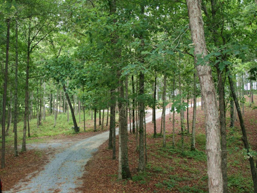 Kyser Property, Farm for Sale in Alabama, 82535 FARMFLIP