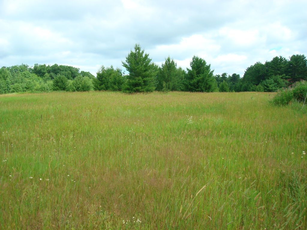 Commercial Acreage in Arbor Vitae : Arbor Vitae : Vilas County : Wisconsin
