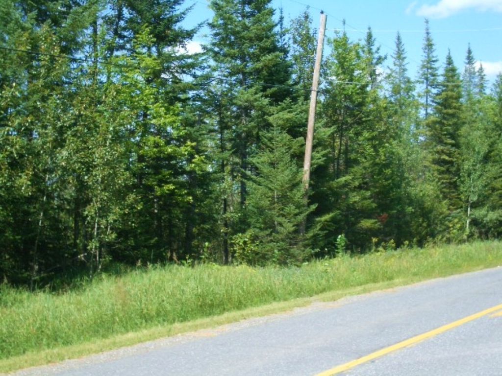 61.77 Acres for Sale : Presque Isle : Aroostook County : Maine