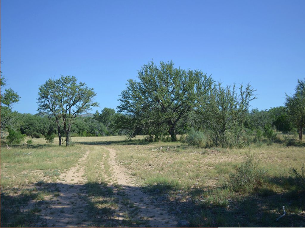 Sweeten Ranch : Camp Wood : Real County : Texas