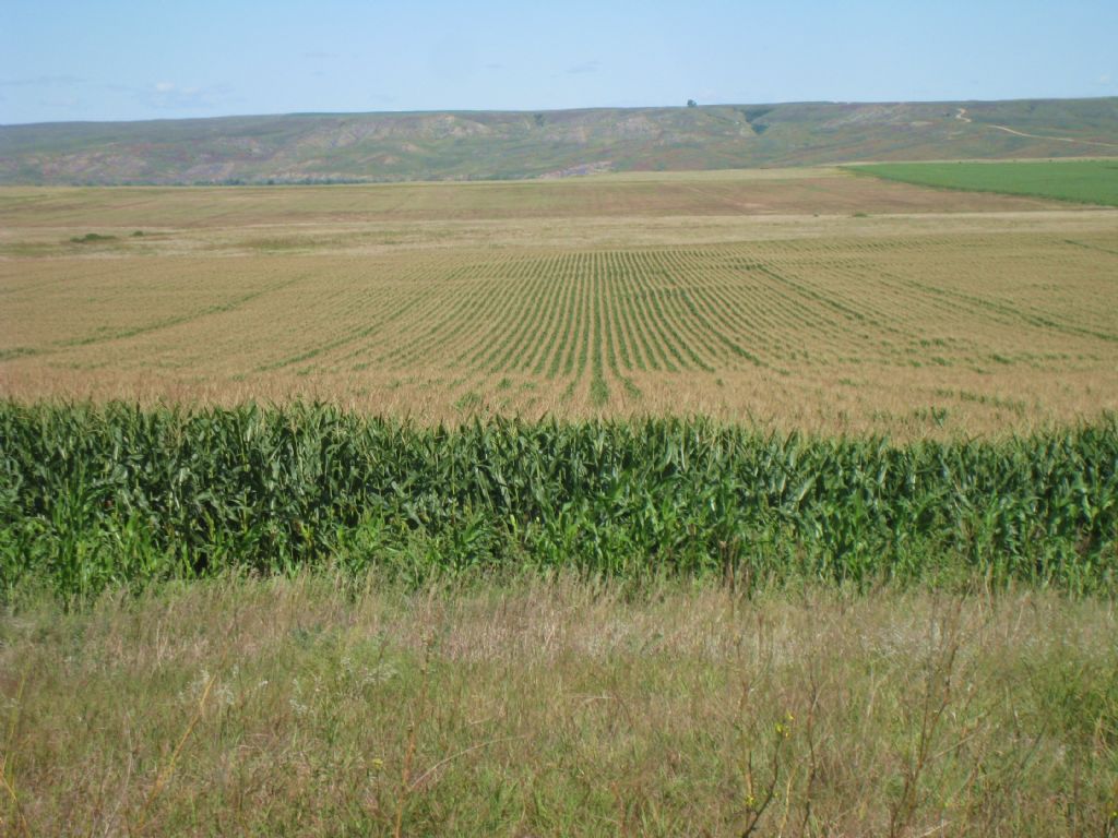 White River Farms, Farm for Sale in South Dakota, 83313 FARMFLIP