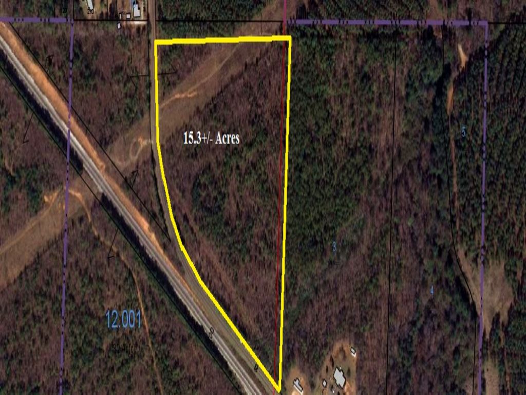 15.3+/- Acres for Sale : Lineville : Clay County : Alabama