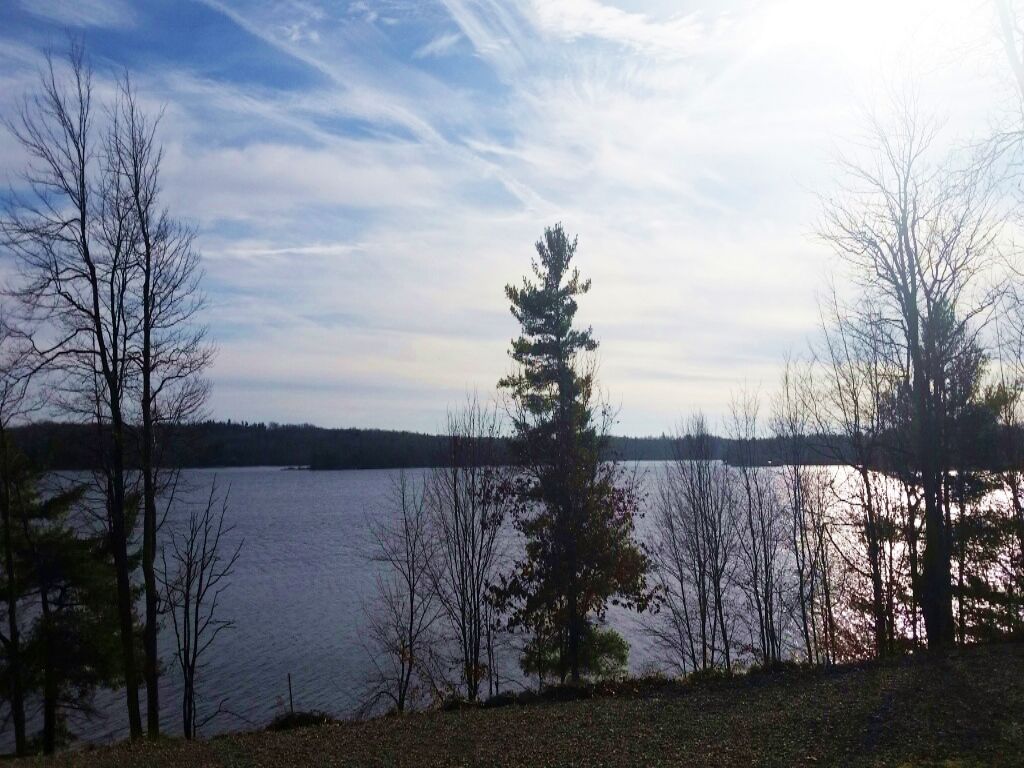 Land Borders Black Lake & Forest : Black Lake : Saint Lawrence County : New York