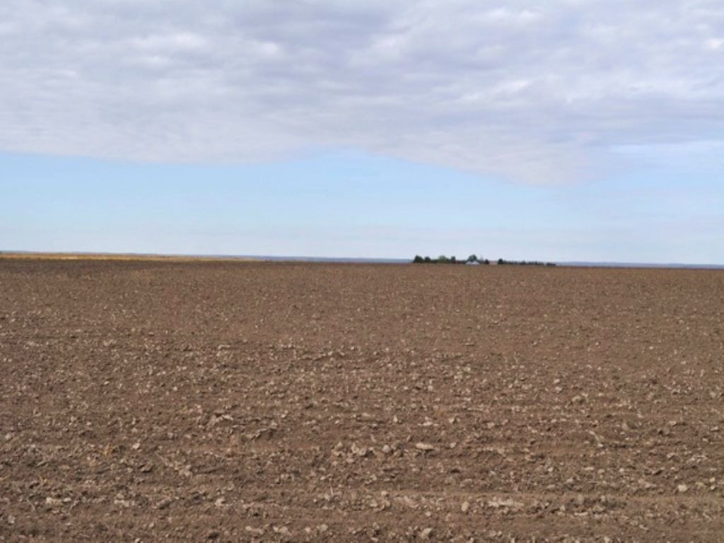 Vrbas Family Land Auction : Trenton : Hitchcock County : Nebraska