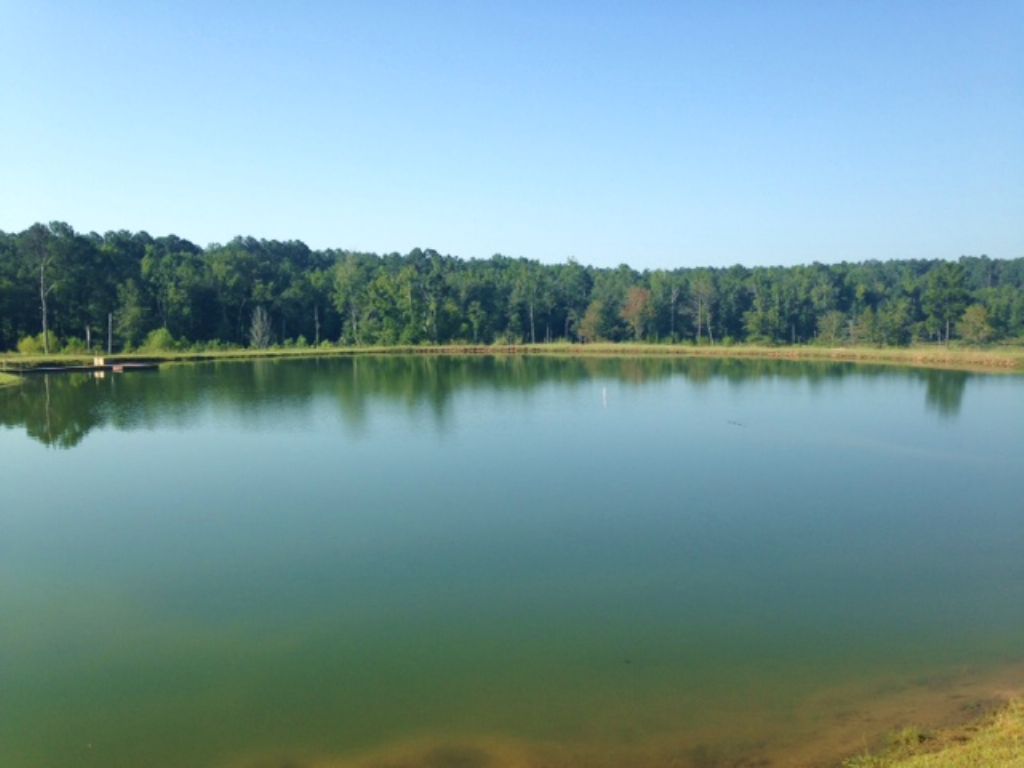 Sportsman's Retreat : Sparta : Hancock County : Georgia