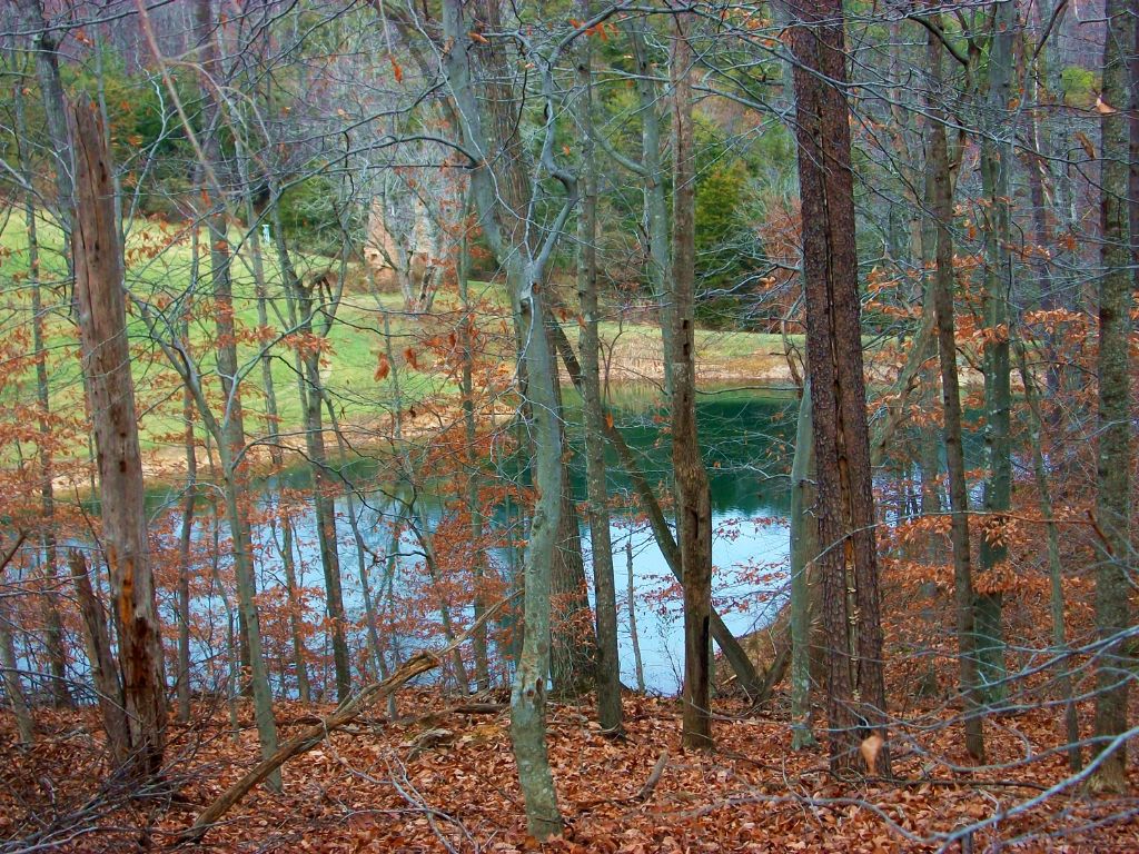 Scenic Land, 3 Acre Pond, and Shop, Farm for Sale in Virginia, 83521