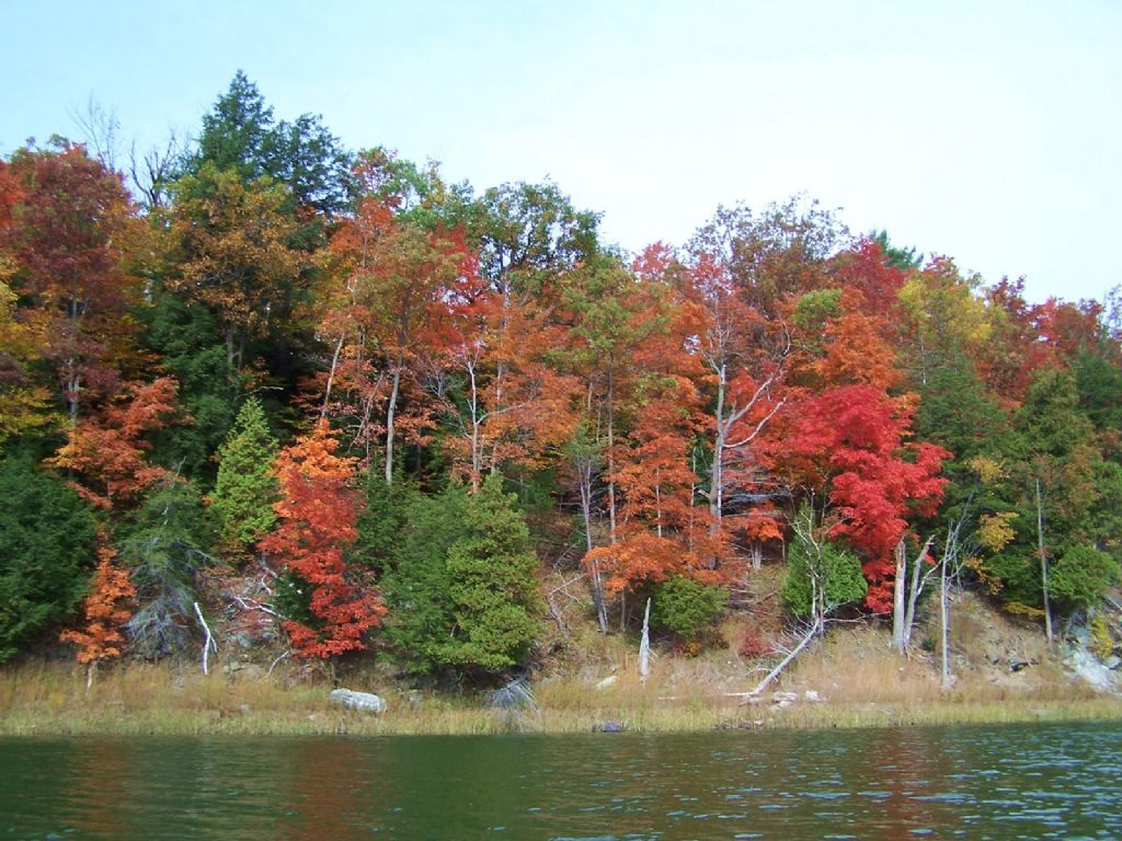 25 New York Waterfront Acres : Theresa : Jefferson County : New York