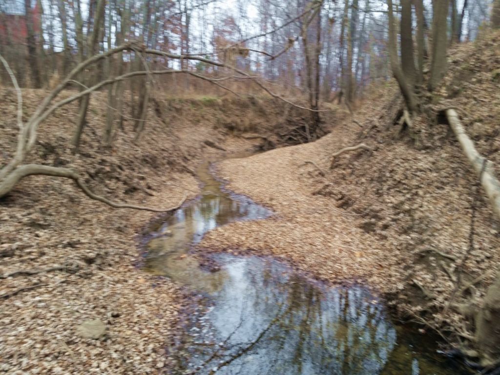 45 Acres Farm for Sale in Shelbina, Shelby County, Missouri 83678