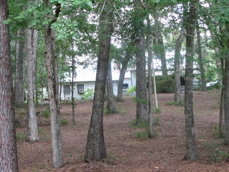 Historic Land and Home On The River : Springfield : Effingham County : Georgia