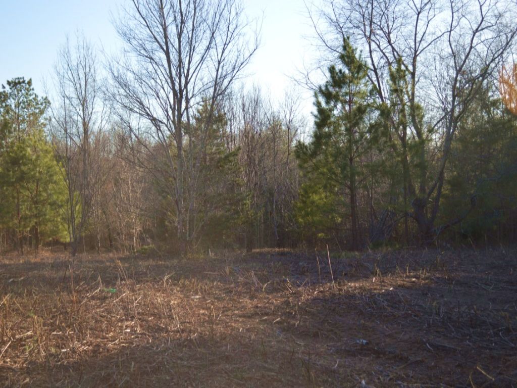 5.14 Acres On Parris Bridge Road, Farm for Sale in South Carolina